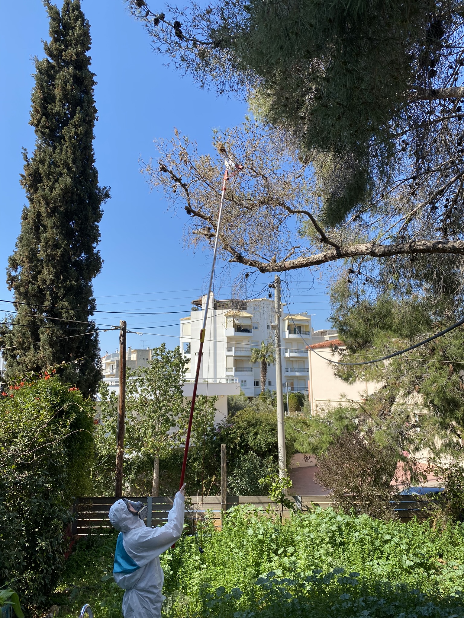 Εξωτερική εφαρμογή προστασίας πρασίνου